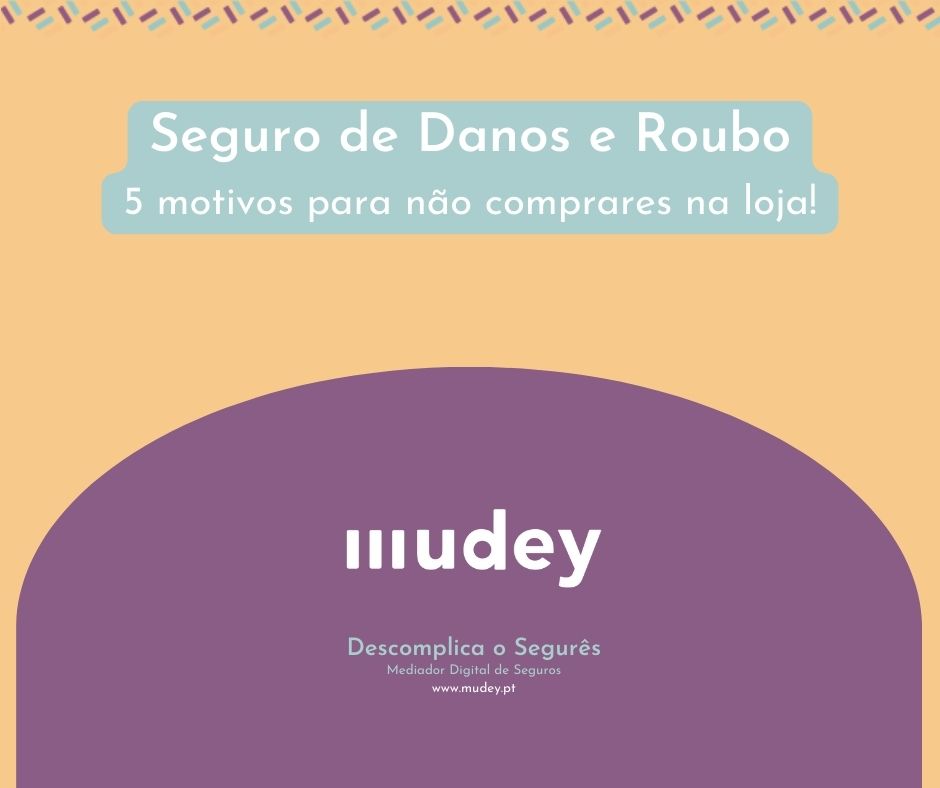 Seguro Danos e Roubo